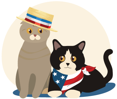 Political Contact Img Jill Jacobs Voice Actor Political Contact Img